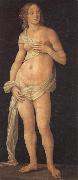 LORENZO DI CREDI Venus oil on canvas